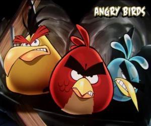 yapboz Video oyunu Kızgın Kuşlar üç diğer kuşlar, Angry Birds